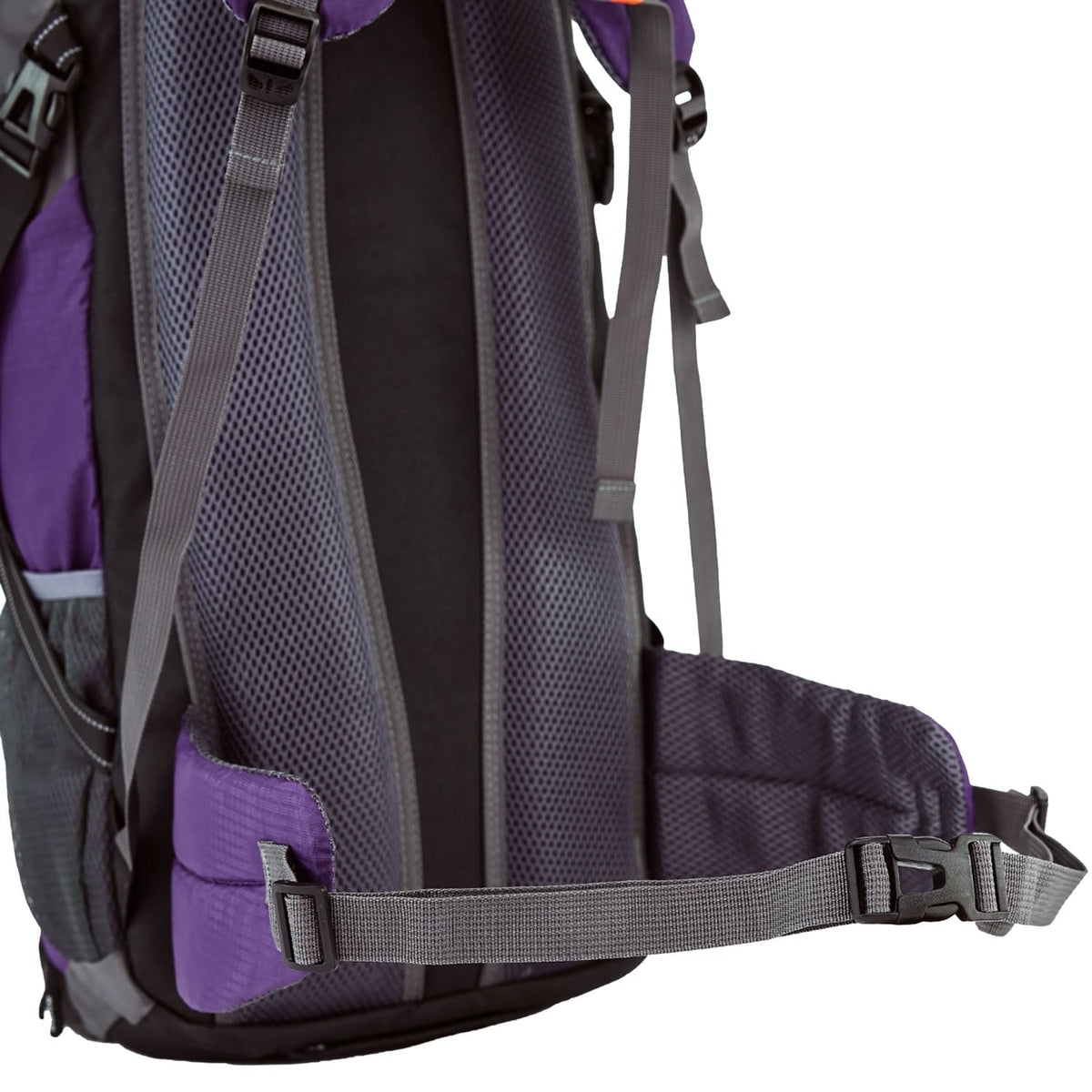 Wings Canastero Hiking Backpack 30 L – Purple - photo 4
