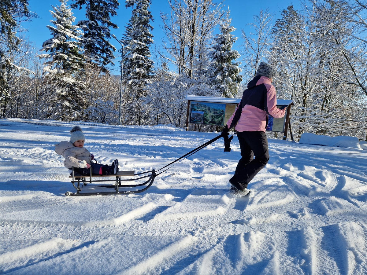 Kunert Space Folding Sled – image 9