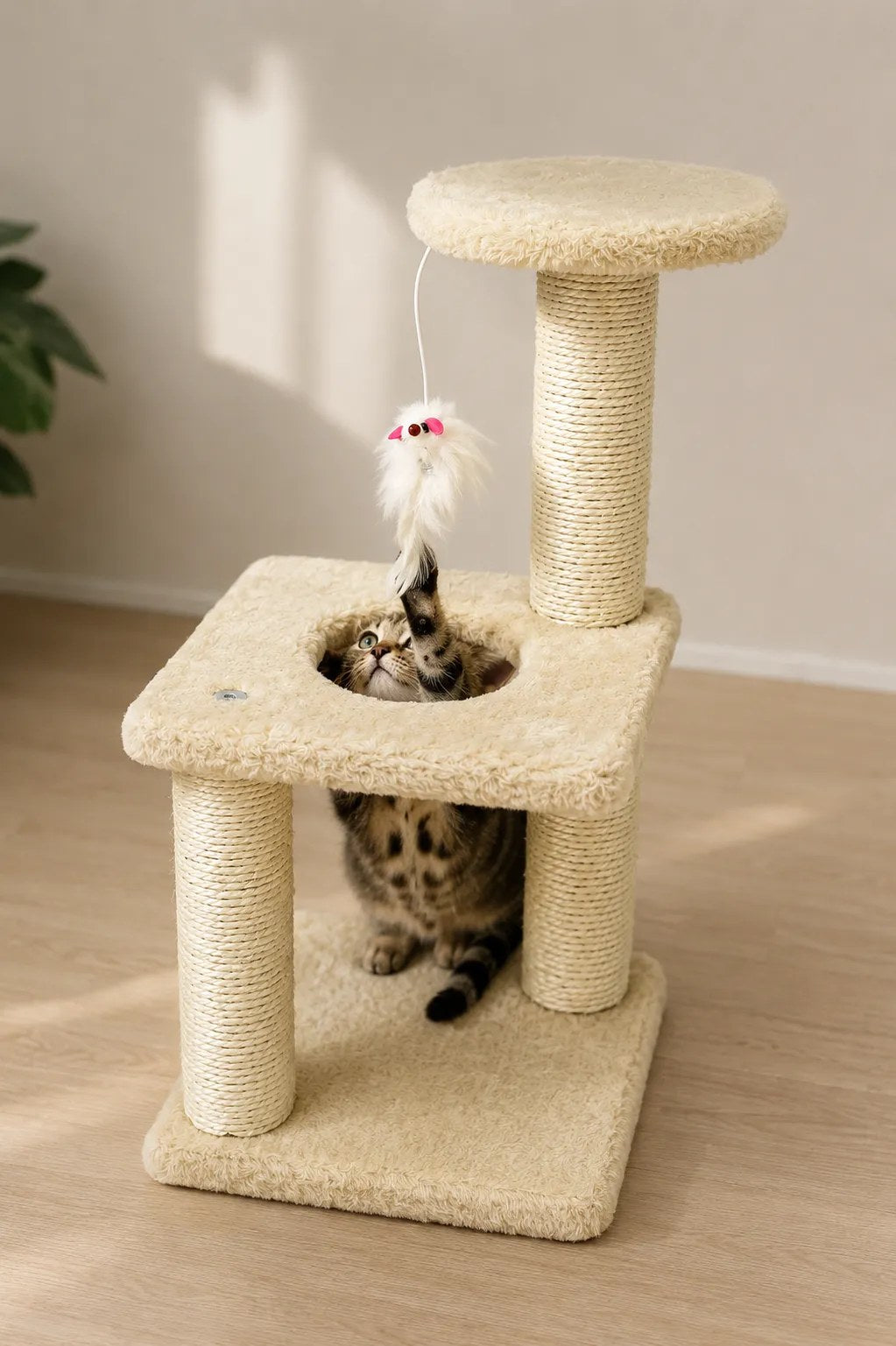 Kunert Compact cat scratcher Velvet with bed - photo 4